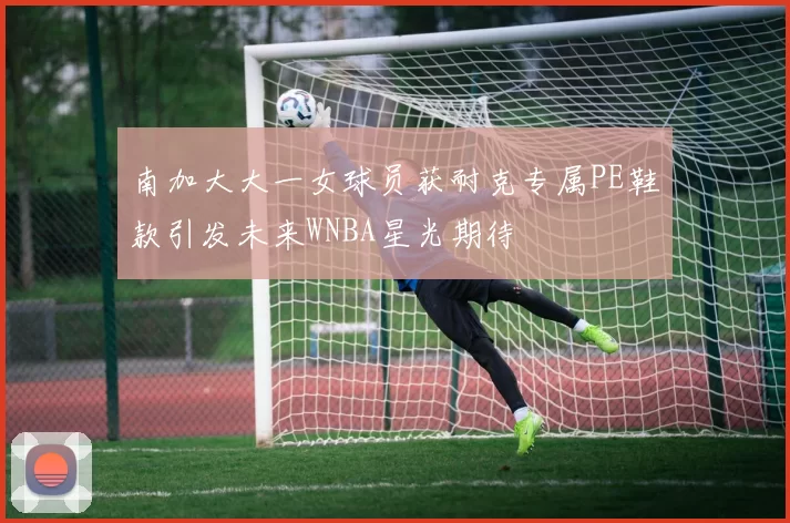 南加大大一女球员获耐克专属PE鞋款引发未来WNBA星光期待